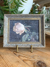 Load image into Gallery viewer, Petal Lane Art Prints