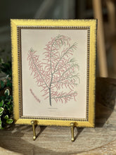 Load image into Gallery viewer, Vintage Inspired Framed Art Prints II