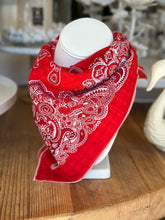 Load image into Gallery viewer, Soft Printed Bandana Scarves