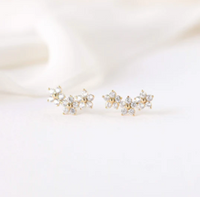 Load image into Gallery viewer, Lover's Tempo Earrings