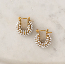 Load image into Gallery viewer, Lover's Tempo Earrings