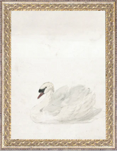 Load image into Gallery viewer, Vintage Inspired Framed Prints