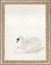 Load image into Gallery viewer, Vintage Inspired Framed Prints