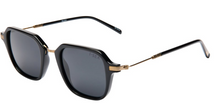 Load image into Gallery viewer, I-Sea Polarized Sunglasses