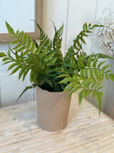 Load image into Gallery viewer, Faux Fern in Paper Pot
