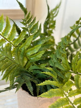 Load image into Gallery viewer, Faux Fern in Paper Pot
