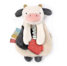 Load image into Gallery viewer, Itzy Bitzy Plush Lovey- Multiple Styles
