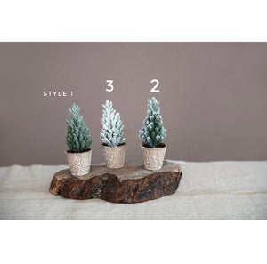 Faux Mini Potted Pine Trees