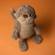 Load image into Gallery viewer, Brooke Otter
