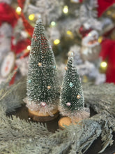 Load image into Gallery viewer, Sisal Trees with Pearls &amp; Tulle
