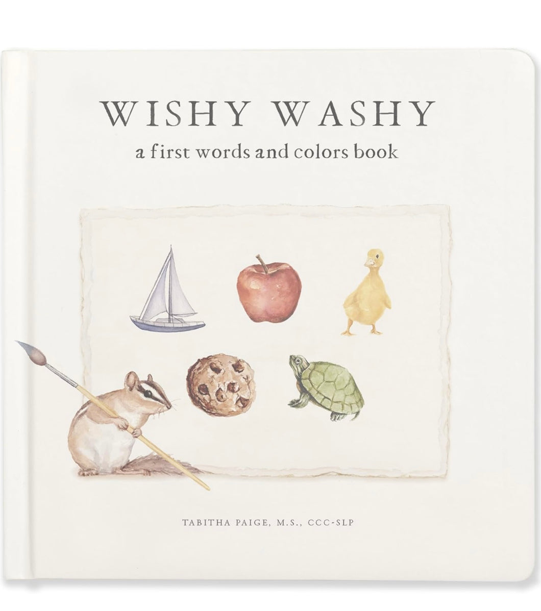 Wishy Washy Book