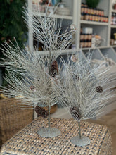 Load image into Gallery viewer, Champagne Spruce &amp; Pinecone Trees
