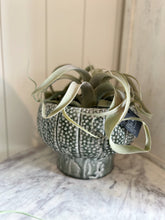 Load image into Gallery viewer, Green Terracotta Footed Planter
