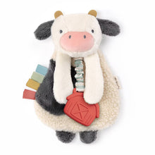 Load image into Gallery viewer, Itzy Bitzy Plush Lovey- Multiple Styles
