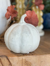 Load image into Gallery viewer, Paper Mache Pumpkins
