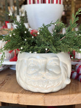 Load image into Gallery viewer, 22&quot; Pearl Cedar Spray
