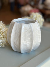 Load image into Gallery viewer, Islandra Ivory Ceramic Pot
