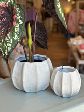 Load image into Gallery viewer, Islandra Ivory Ceramic Pot
