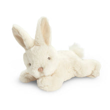 Load image into Gallery viewer, You Belong Here Plush Bunny
