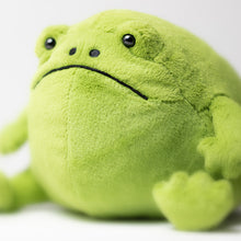 Load image into Gallery viewer, Ricky Rain Frog
