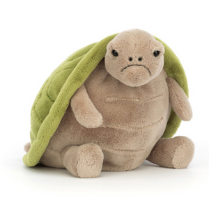 Timmy Turtle