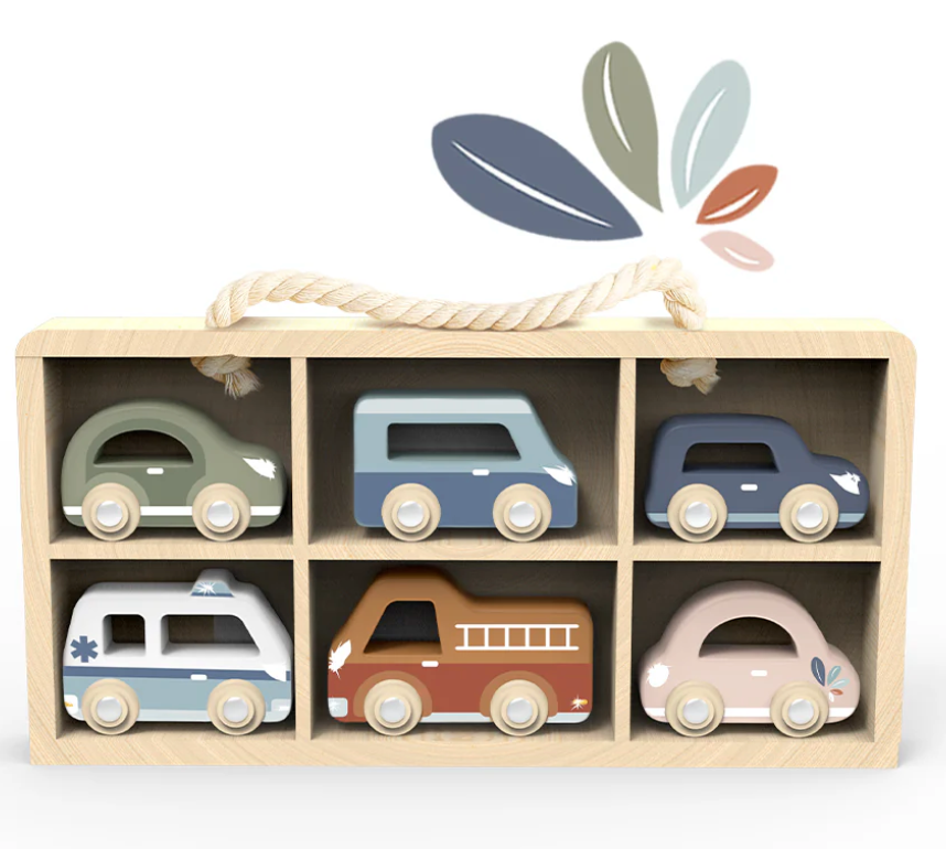 Wooden Car Display Case