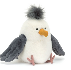 Chip Seagull