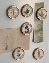 Load image into Gallery viewer, Set of 6 Round Magnets with Dried Flowers
