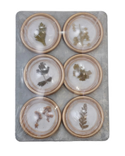 Load image into Gallery viewer, Set of 6 Round Magnets with Dried Flowers
