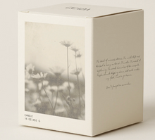 Load image into Gallery viewer, Cicada No. 8 Desert Meadows
