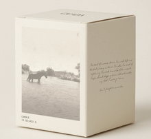 Load image into Gallery viewer, Cicada No. 6 Rivers
