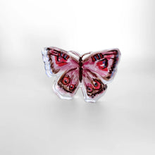 Load image into Gallery viewer, Acrylic Cut Out Butterfles
