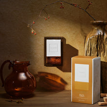 Load image into Gallery viewer, Baltic Amber Wall Plug In Starter Kit
