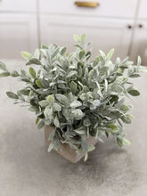 Load image into Gallery viewer, Faux Sage Bush in Square Pot
