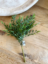 Load image into Gallery viewer, Ruscus Bush Pick
