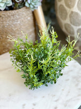 Load image into Gallery viewer, Spanish Fern Half Orb
